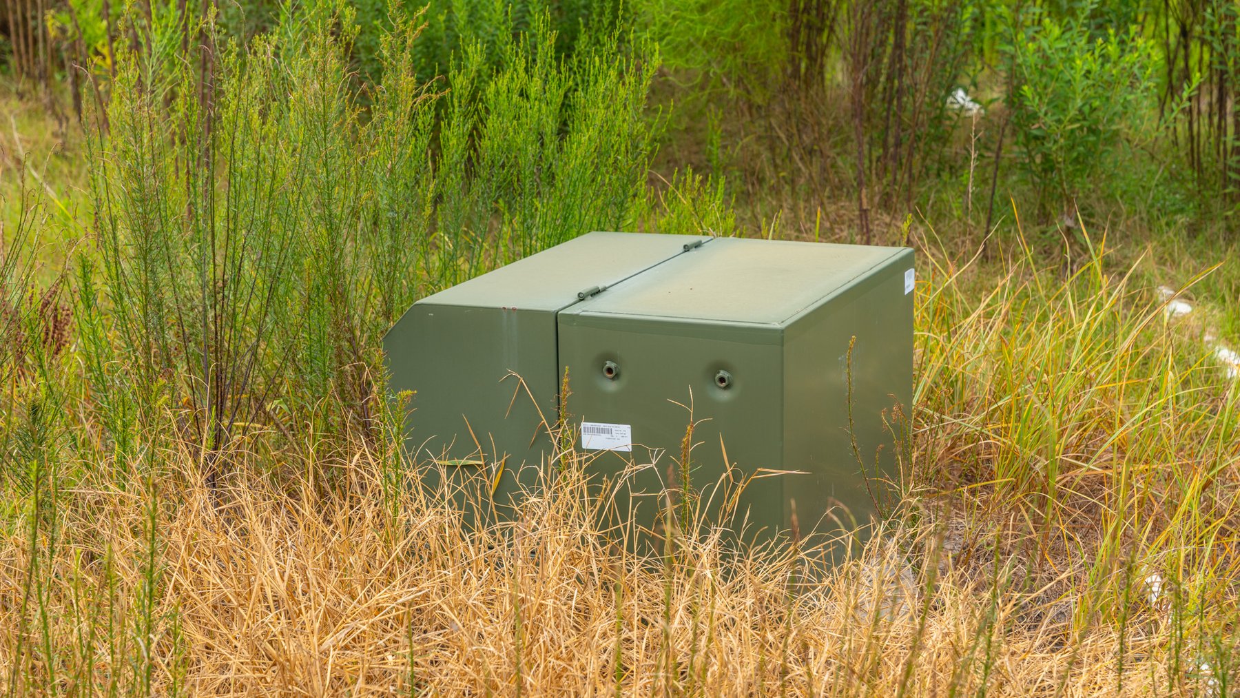 Image for 1,181± Acres - Patten Orchard - Premium Irrigated Pecan Operation - Long-Term Orchard Income w/ Improvements - Merchantable Timber Stand & Creek Frontage