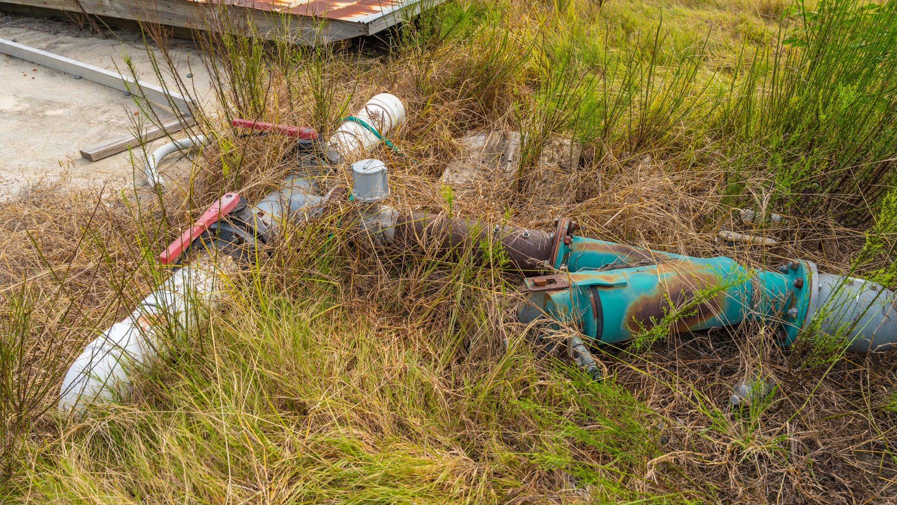 Image for 1,181± Acres - Patten Orchard - Premium Irrigated Pecan Operation - Long-Term Orchard Income w/ Improvements - Merchantable Timber Stand & Creek Frontage