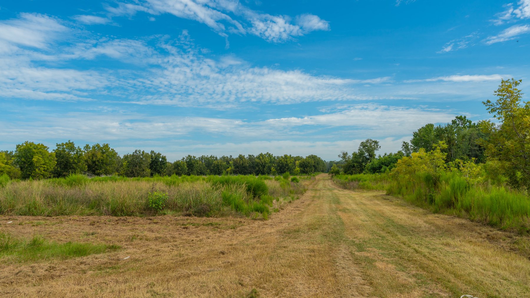 Image for 1,181± Acres - Patten Orchard - Premium Irrigated Pecan Operation - Long-Term Orchard Income w/ Improvements - Merchantable Timber Stand & Creek Frontage