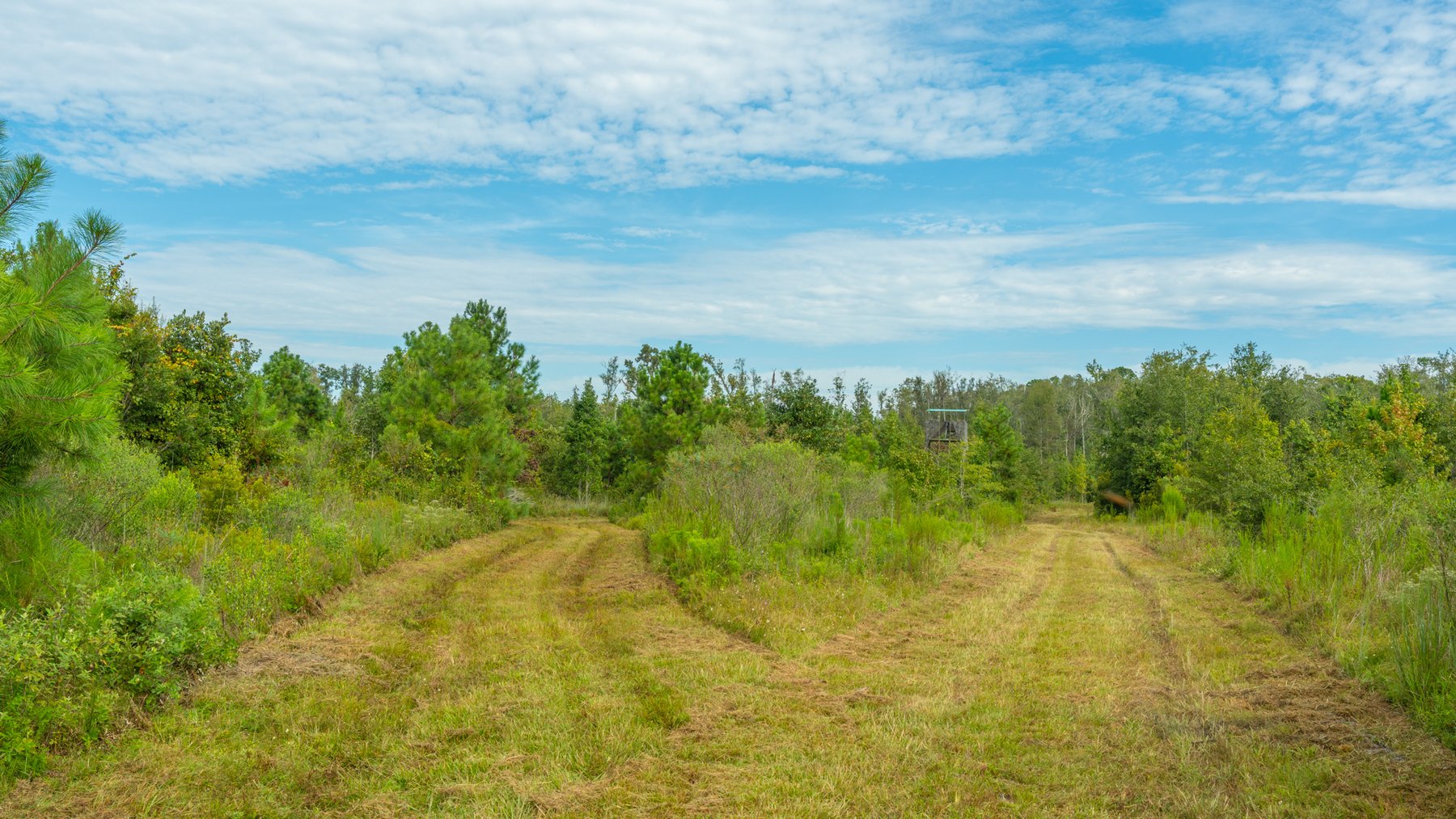 Image for 1,181± Acres - Patten Orchard - Premium Irrigated Pecan Operation - Long-Term Orchard Income w/ Improvements - Merchantable Timber Stand & Creek Frontage