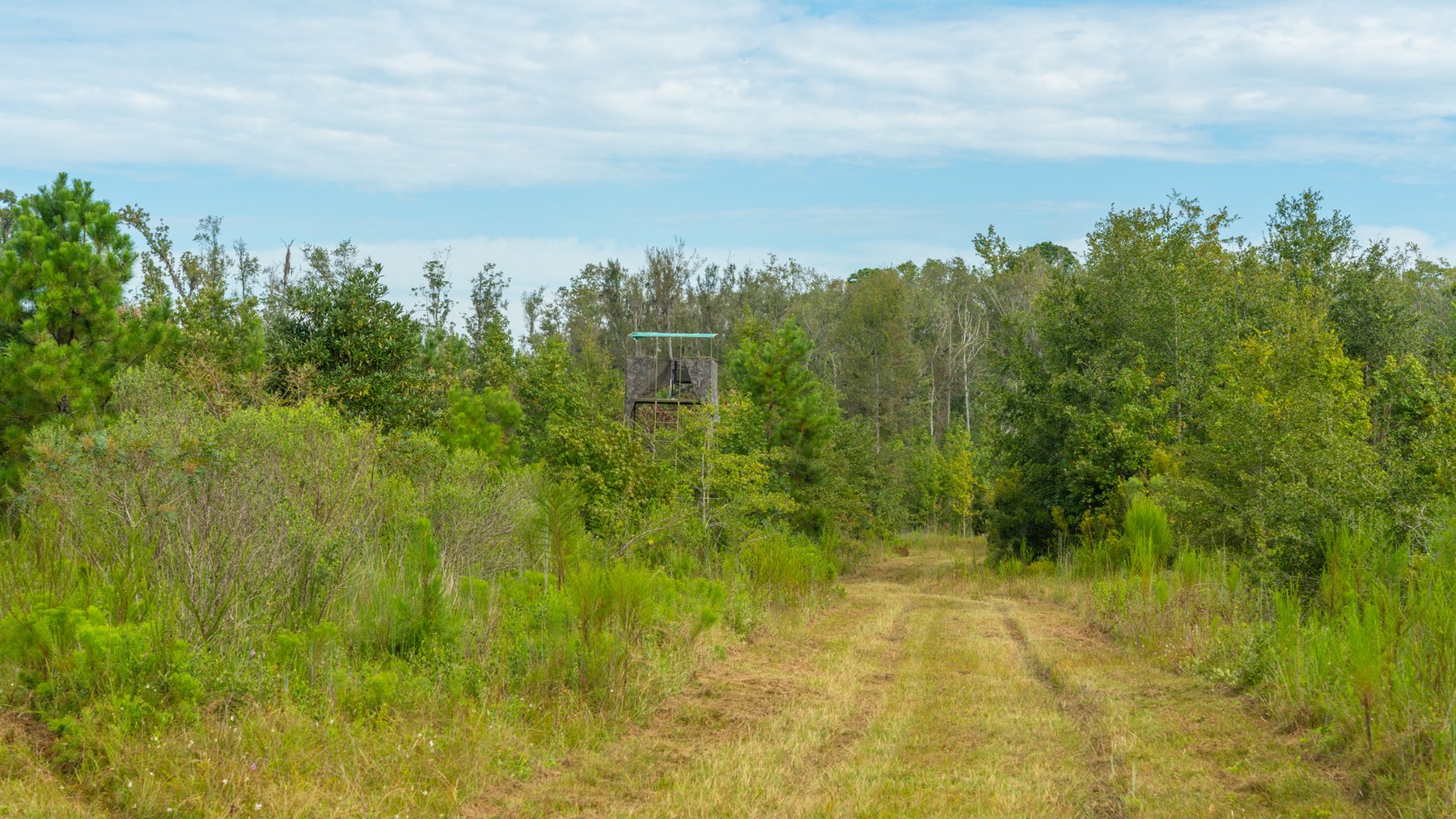 Image for 1,181± Acres - Patten Orchard - Premium Irrigated Pecan Operation - Long-Term Orchard Income w/ Improvements - Merchantable Timber Stand & Creek Frontage
