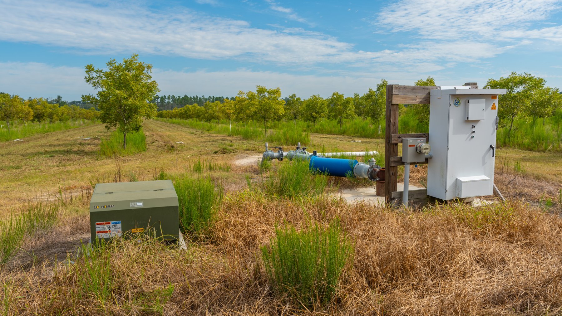 Image for 1,181± Acres - Patten Orchard - Premium Irrigated Pecan Operation - Long-Term Orchard Income w/ Improvements - Merchantable Timber Stand & Creek Frontage
