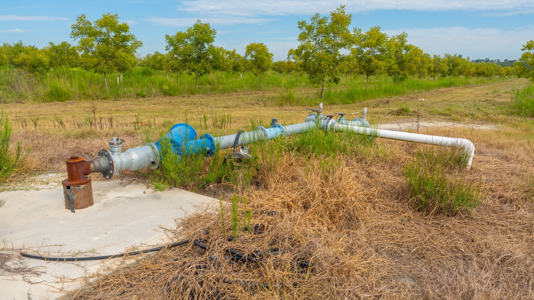 Image for 1,181± Acres - Patten Orchard - Premium Irrigated Pecan Operation - Long-Term Orchard Income w/ Improvements - Merchantable Timber Stand & Creek Frontage