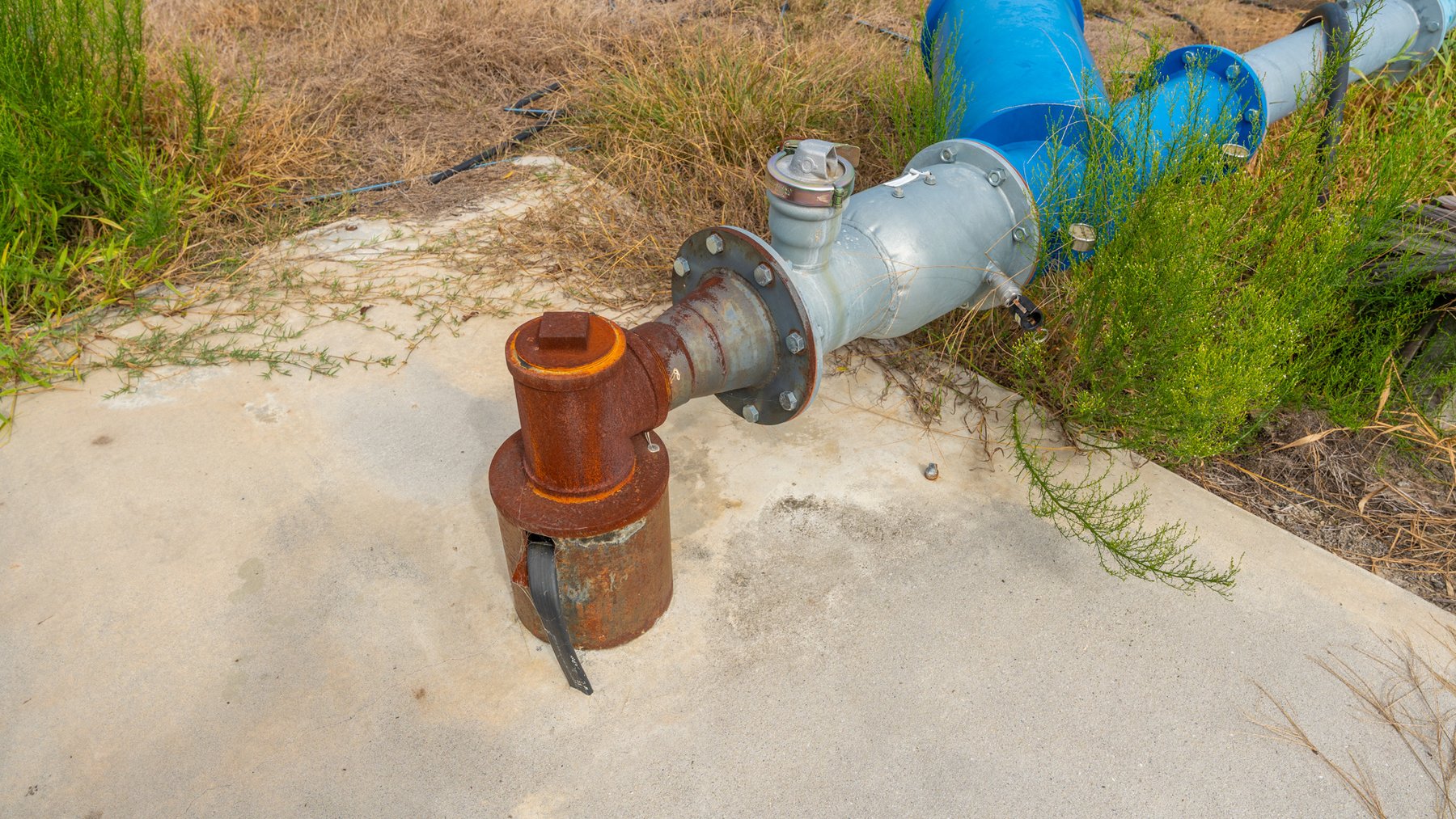 Image for 1,181± Acres - Patten Orchard - Premium Irrigated Pecan Operation - Long-Term Orchard Income w/ Improvements - Merchantable Timber Stand & Creek Frontage