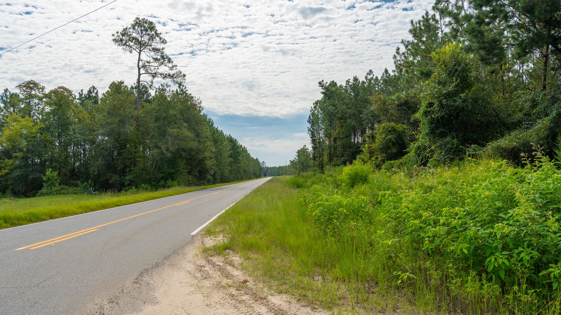 Image for 1,181± Acres - Patten Orchard - Premium Irrigated Pecan Operation - Long-Term Orchard Income w/ Improvements - Merchantable Timber Stand & Creek Frontage