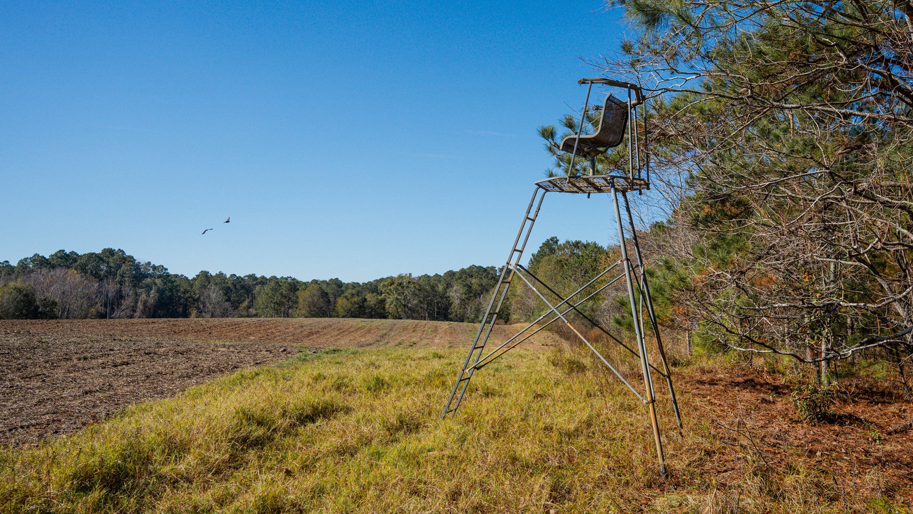 Image for Swallow Lane Farm - 157± Acres - Irwin County, Georgia - Income-Producing Row Crop Farmland & Recreational Retreat