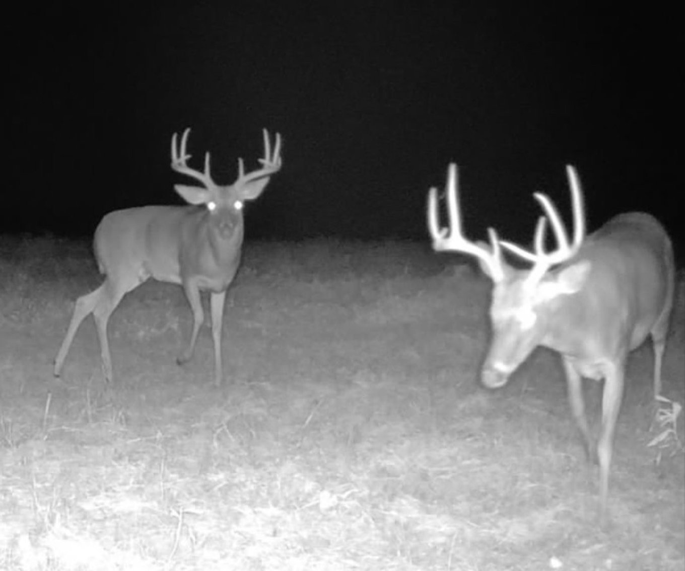 Image for Swallow Lane Farm - 157± Acres - Irwin County, Georgia - Income-Producing Row Crop Farmland & Recreational Retreat