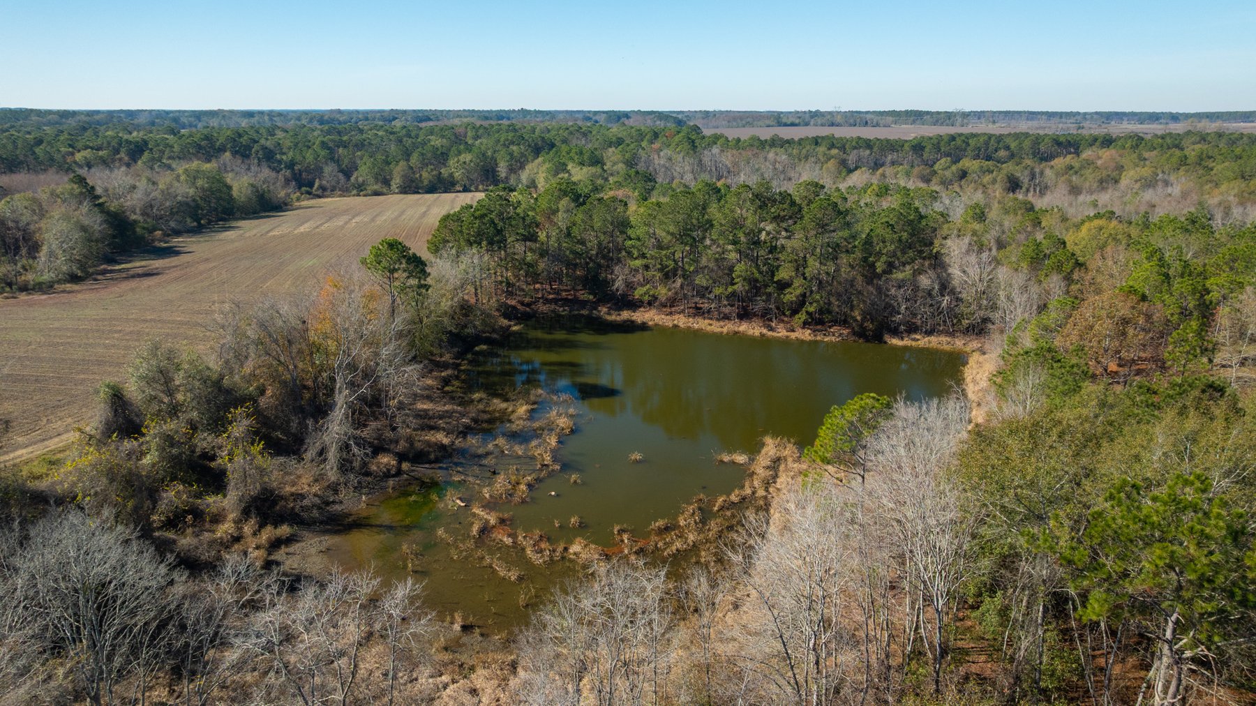 Image for Swallow Lane Farm - 157± Acres - Irwin County, Georgia - Income-Producing Row Crop Farmland & Recreational Retreat