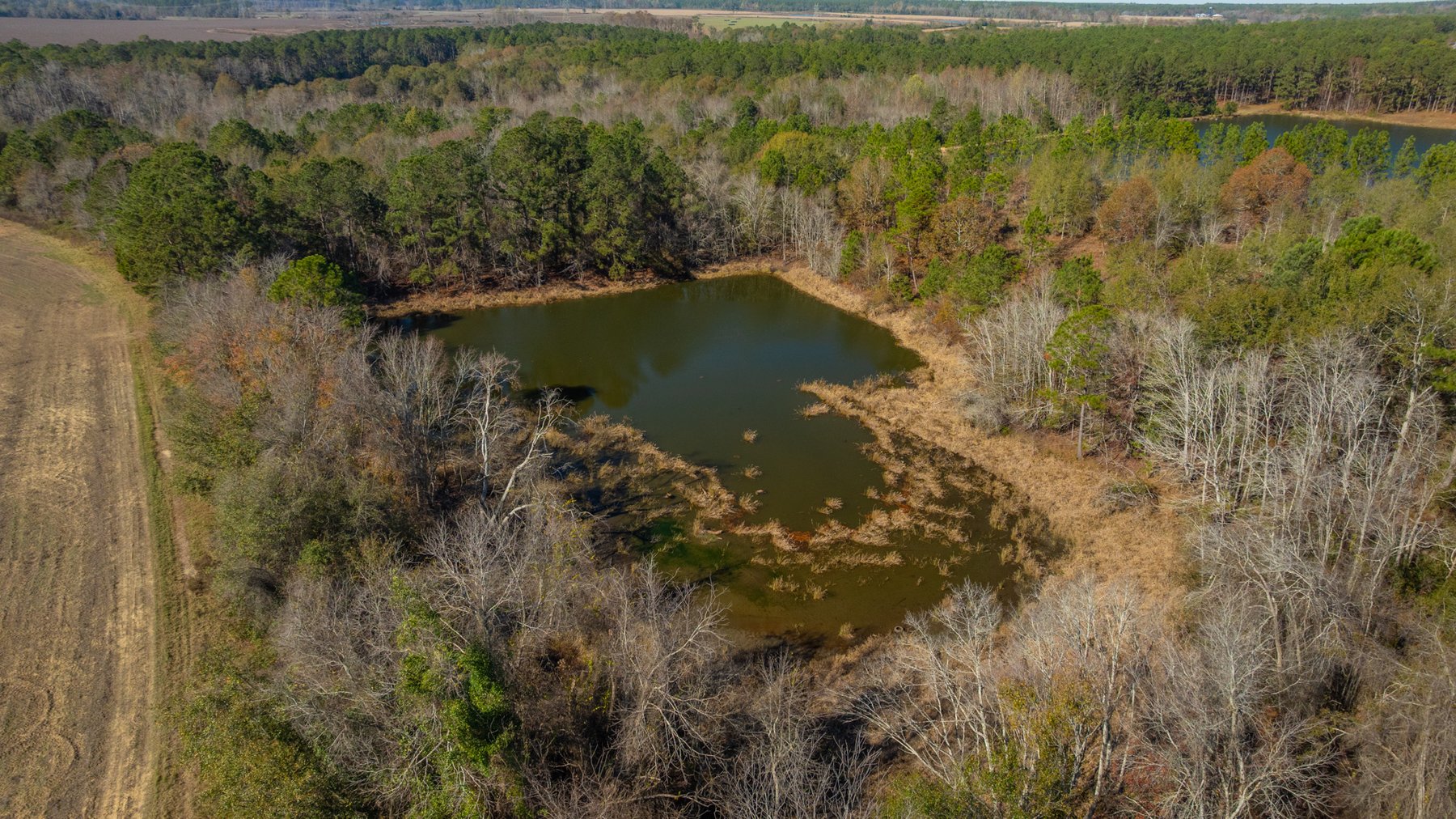 Image for Swallow Lane Farm - 157± Acres - Irwin County, Georgia - Income-Producing Row Crop Farmland & Recreational Retreat