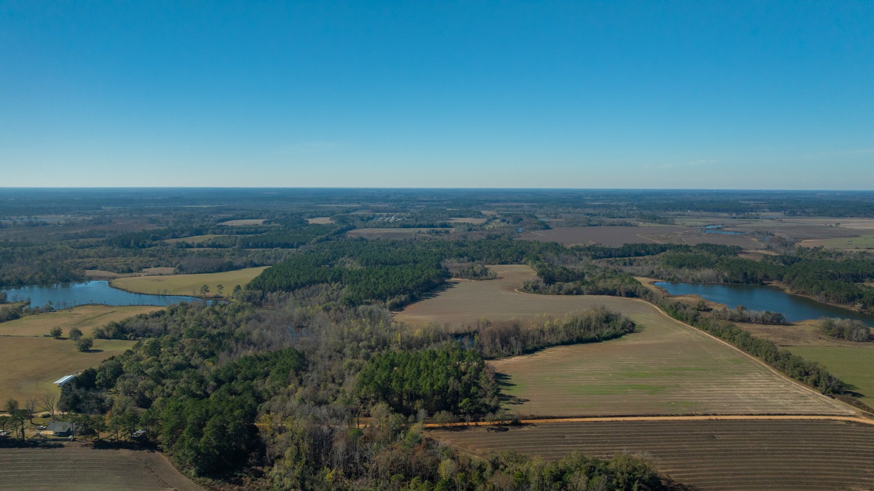 Image for Swallow Lane Farm - 157± Acres - Irwin County, Georgia - Income-Producing Row Crop Farmland & Recreational Retreat