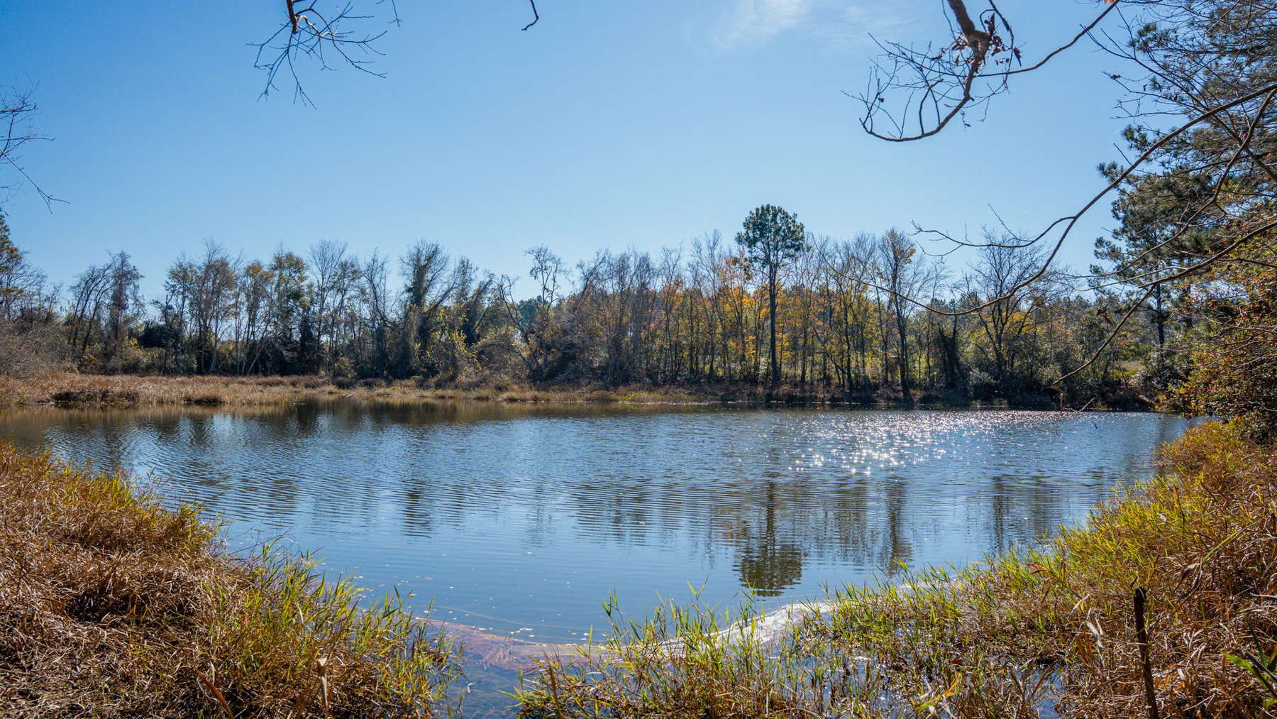 Image for Swallow Lane Farm - 157± Acres - Irwin County, Georgia - Income-Producing Row Crop Farmland & Recreational Retreat