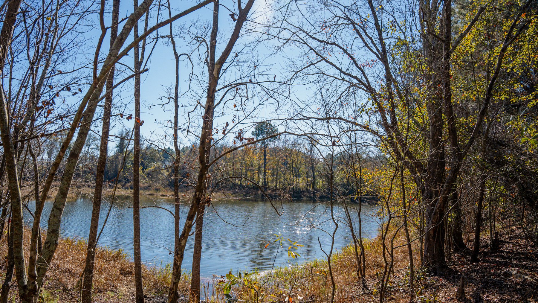 Image for Swallow Lane Farm - 157± Acres - Irwin County, Georgia - Income-Producing Row Crop Farmland & Recreational Retreat