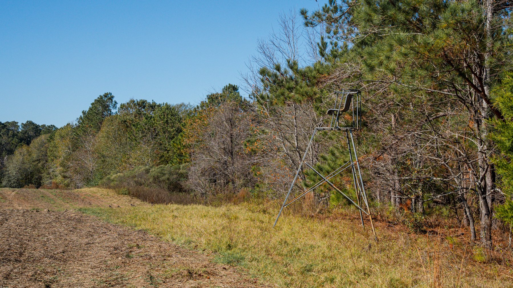 Image for Swallow Lane Farm - 157± Acres - Irwin County, Georgia - Income-Producing Row Crop Farmland & Recreational Retreat