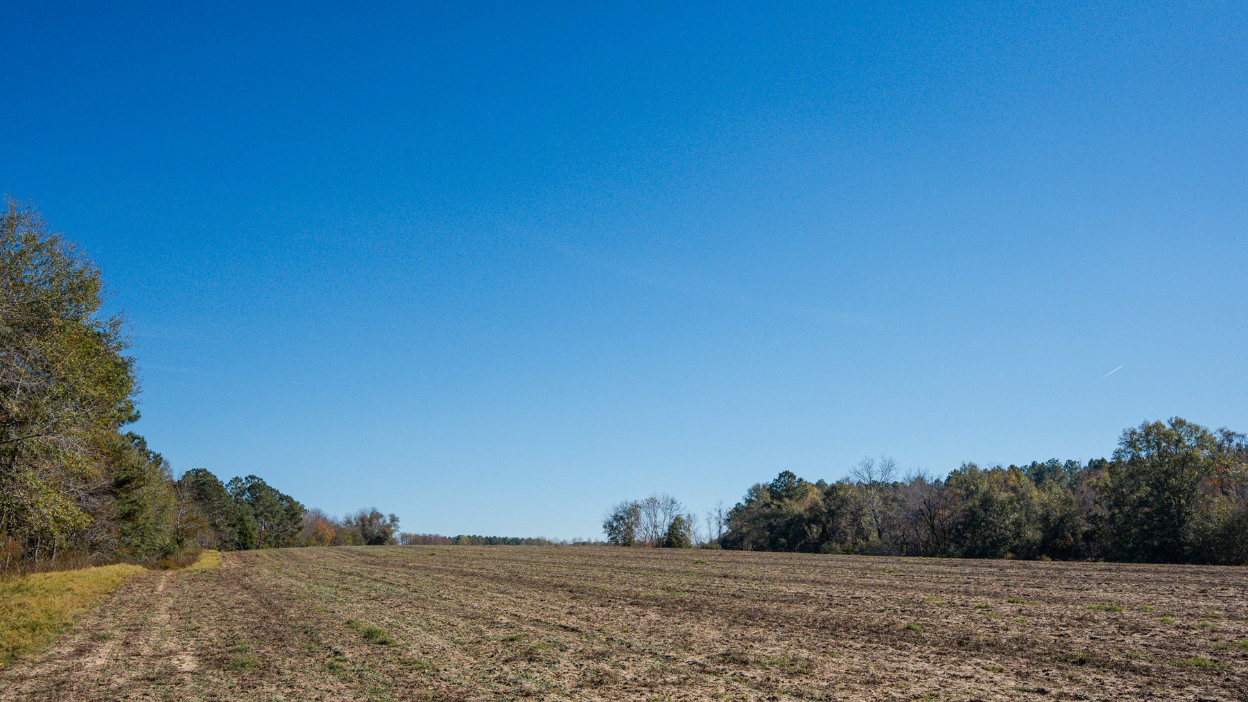 Image for Swallow Lane Farm - 157± Acres - Irwin County, Georgia - Income-Producing Row Crop Farmland & Recreational Retreat