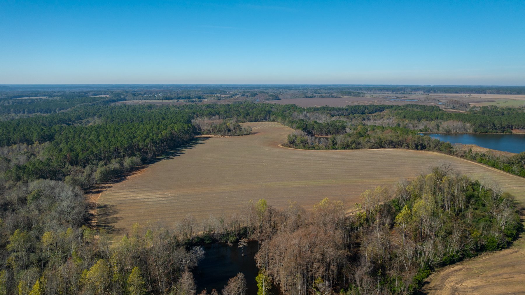 Image for Swallow Lane Farm - 157± Acres - Irwin County, Georgia - Income-Producing Row Crop Farmland & Recreational Retreat