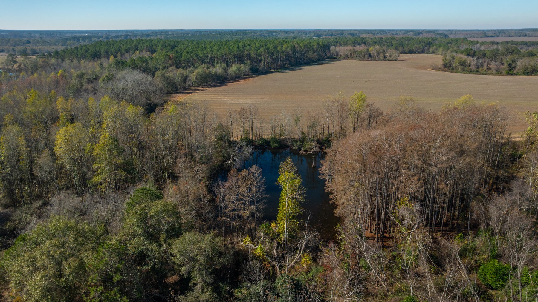 Image for Swallow Lane Farm - 157± Acres - Irwin County, Georgia - Income-Producing Row Crop Farmland & Recreational Retreat