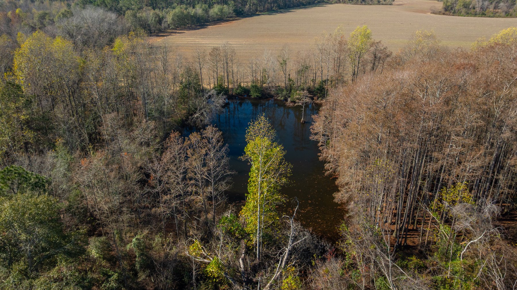 Image for Swallow Lane Farm - 157± Acres - Irwin County, Georgia - Income-Producing Row Crop Farmland & Recreational Retreat