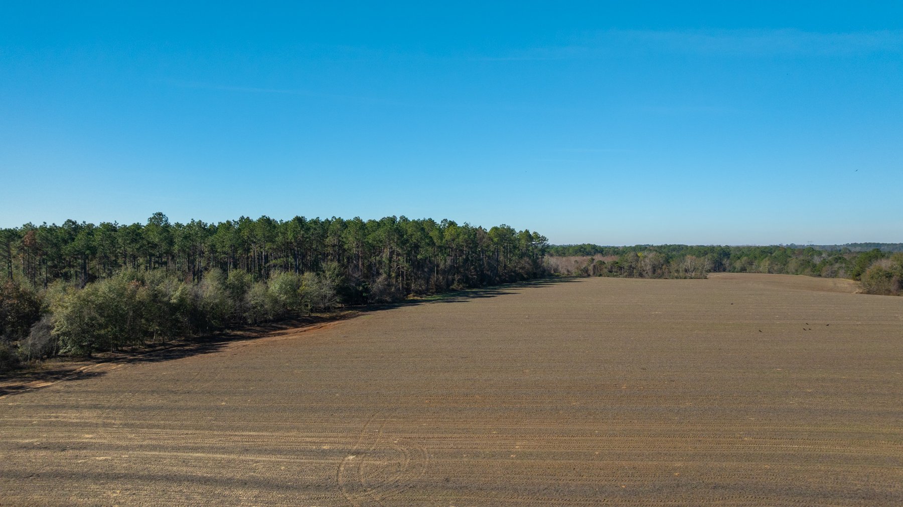 Image for Swallow Lane Farm - 157± Acres - Irwin County, Georgia - Income-Producing Row Crop Farmland & Recreational Retreat