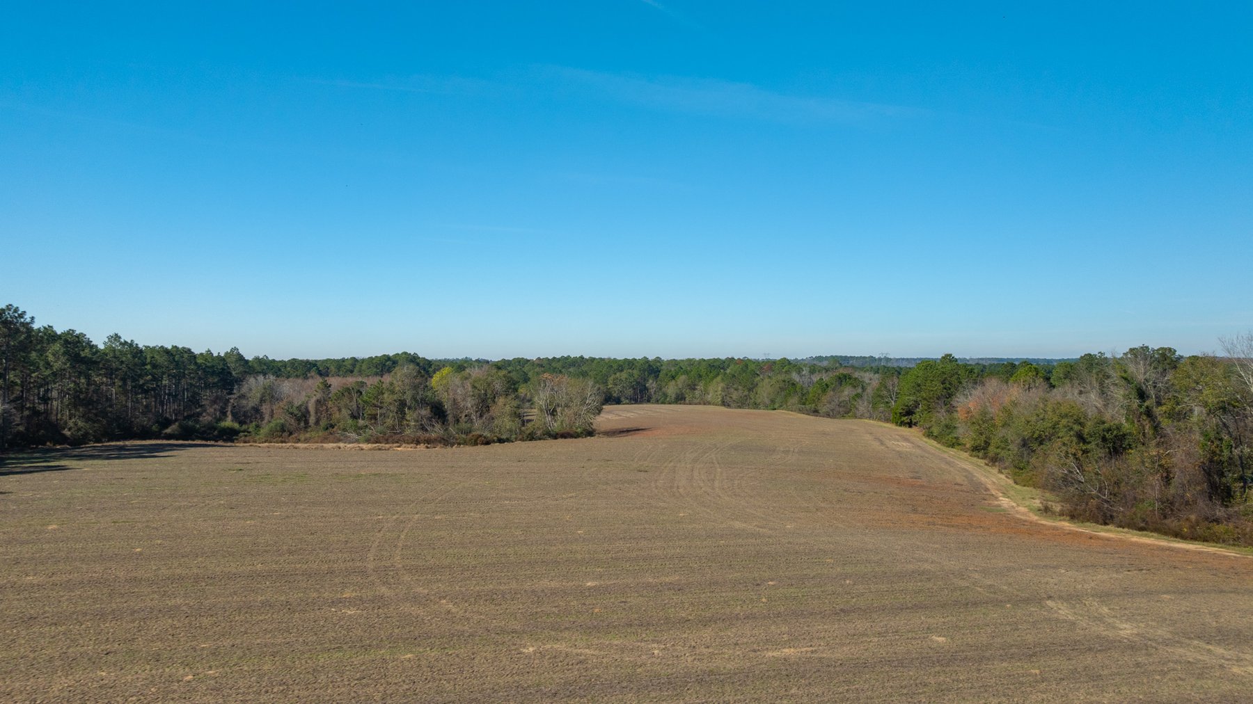 Image for Swallow Lane Farm - 157± Acres - Irwin County, Georgia - Income-Producing Row Crop Farmland & Recreational Retreat