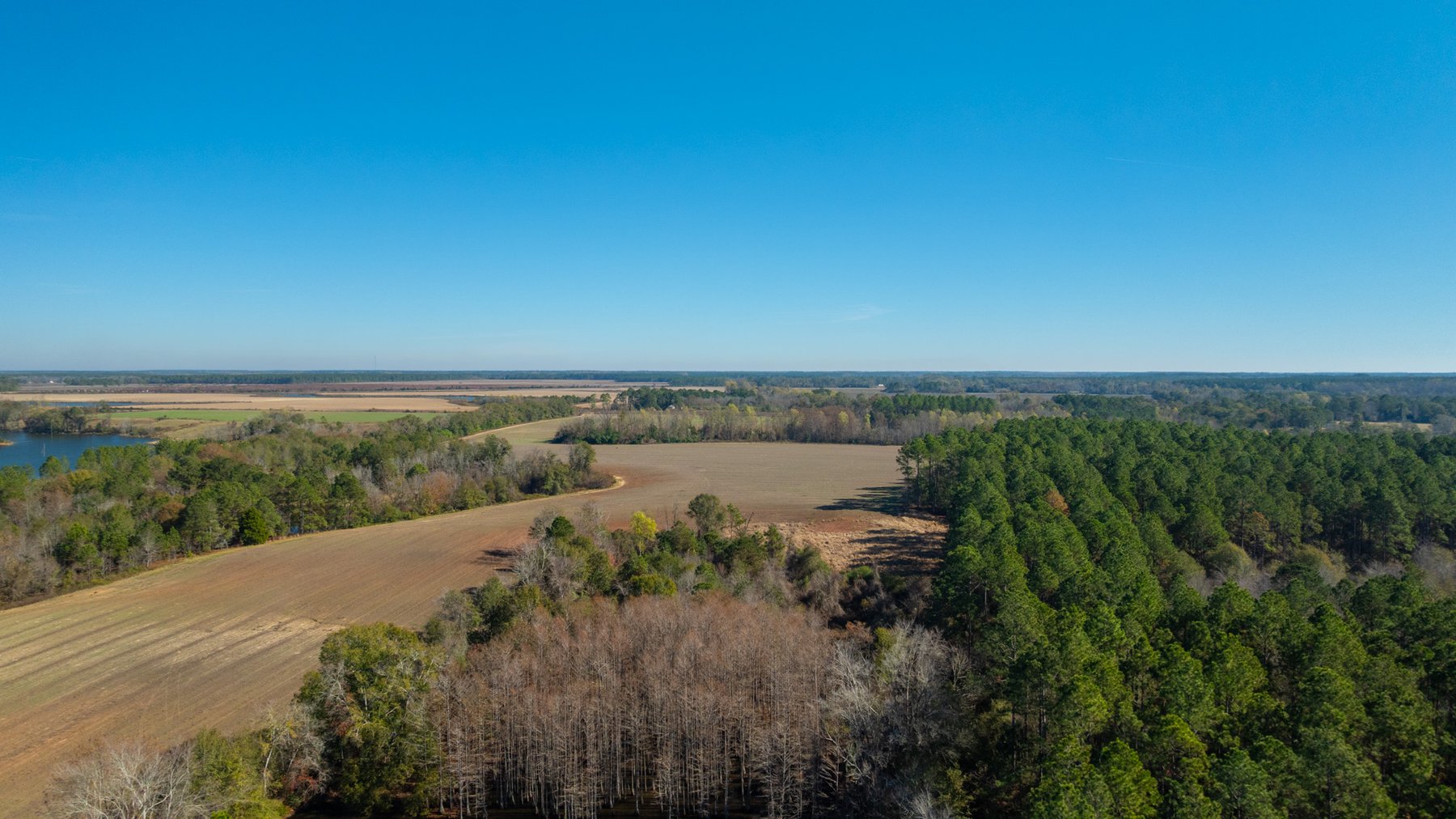 Image for Swallow Lane Farm - 157± Acres - Irwin County, Georgia - Income-Producing Row Crop Farmland & Recreational Retreat