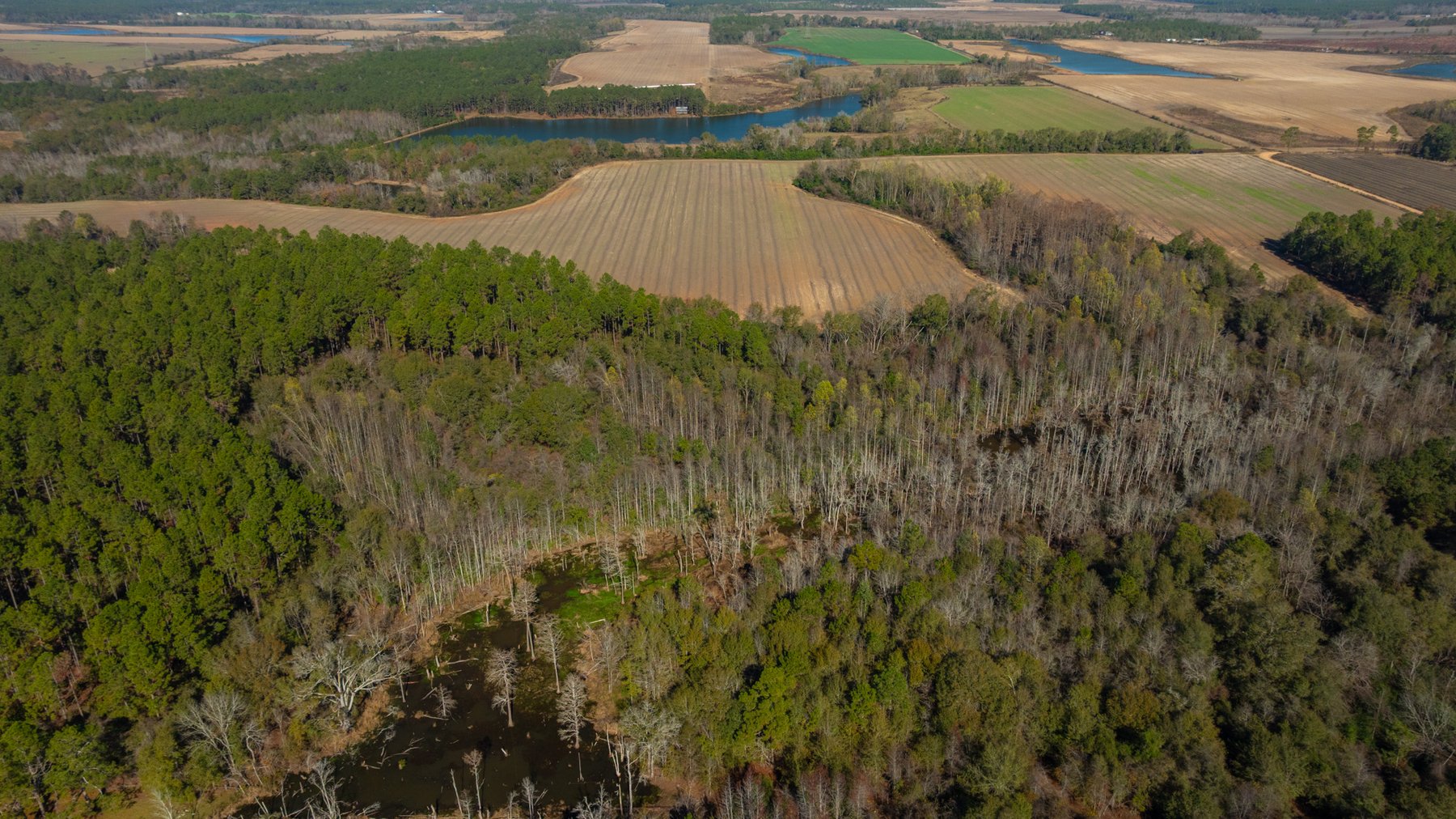 Image for Swallow Lane Farm - 157± Acres - Irwin County, Georgia - Income-Producing Row Crop Farmland & Recreational Retreat