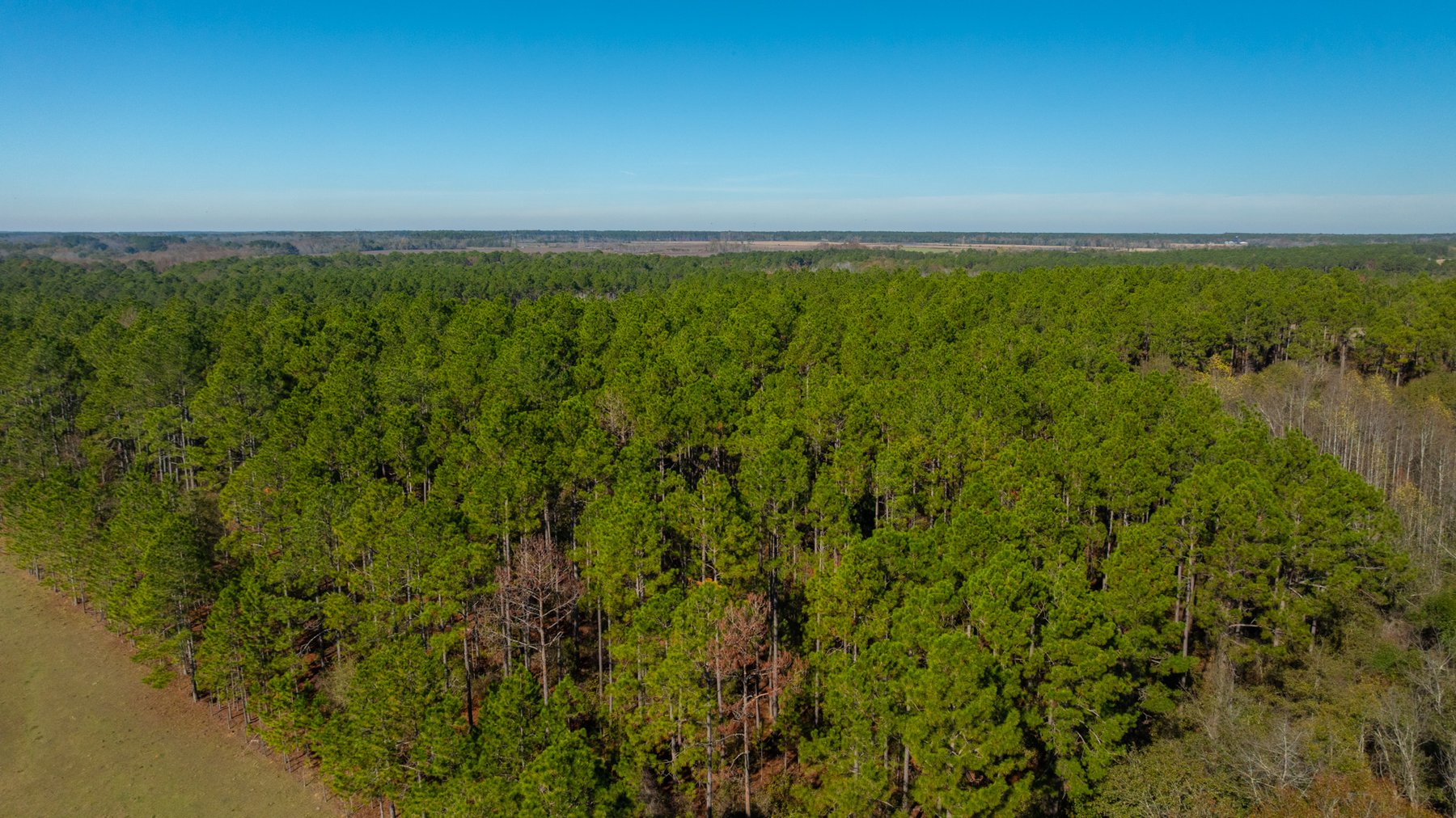 Image for Swallow Lane Farm - 157± Acres - Irwin County, Georgia - Income-Producing Row Crop Farmland & Recreational Retreat
