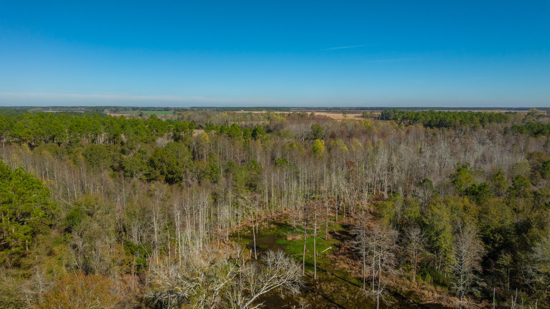 Image for Swallow Lane Farm - 157± Acres - Irwin County, Georgia - Income-Producing Row Crop Farmland & Recreational Retreat
