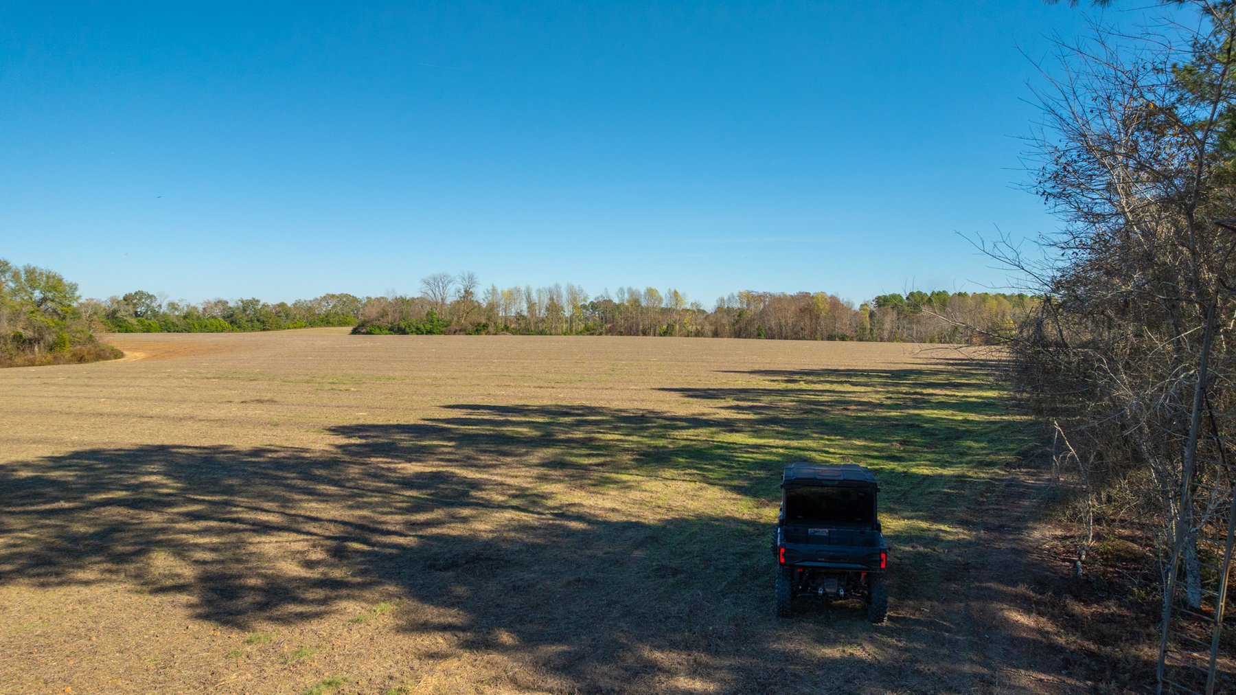 Image for Swallow Lane Farm - 157± Acres - Irwin County, Georgia - Income-Producing Row Crop Farmland & Recreational Retreat
