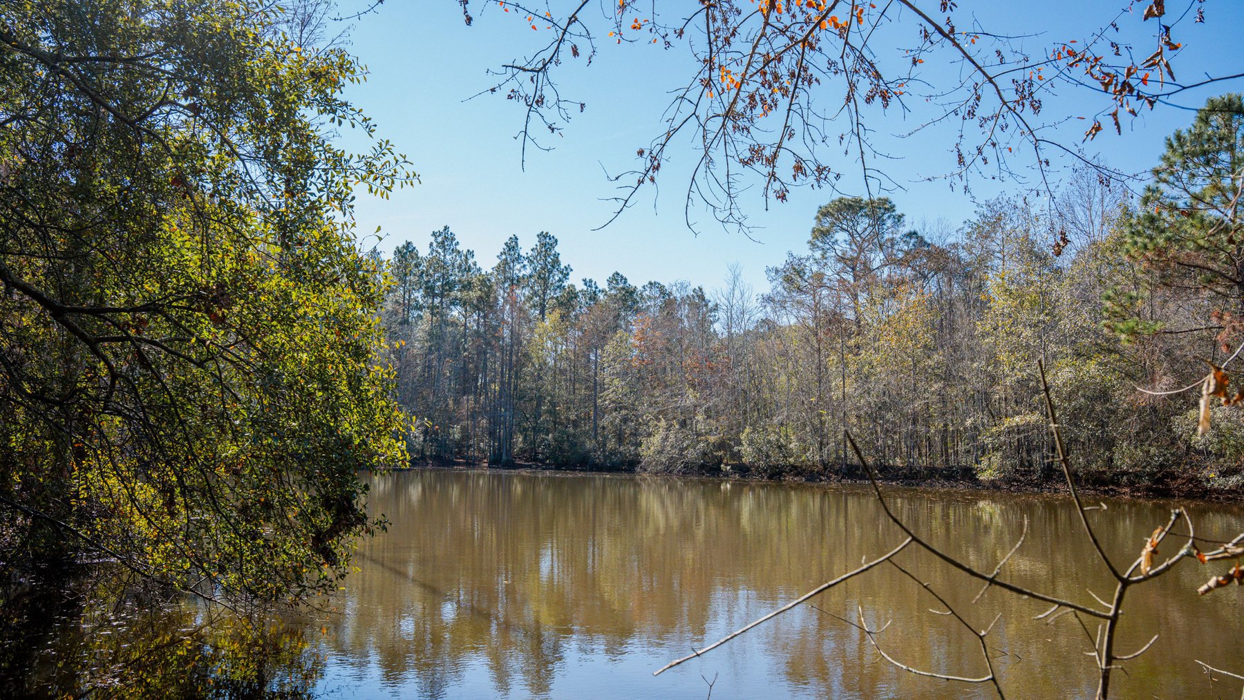 Image for Swallow Lane Farm - 157± Acres - Irwin County, Georgia - Income-Producing Row Crop Farmland & Recreational Retreat