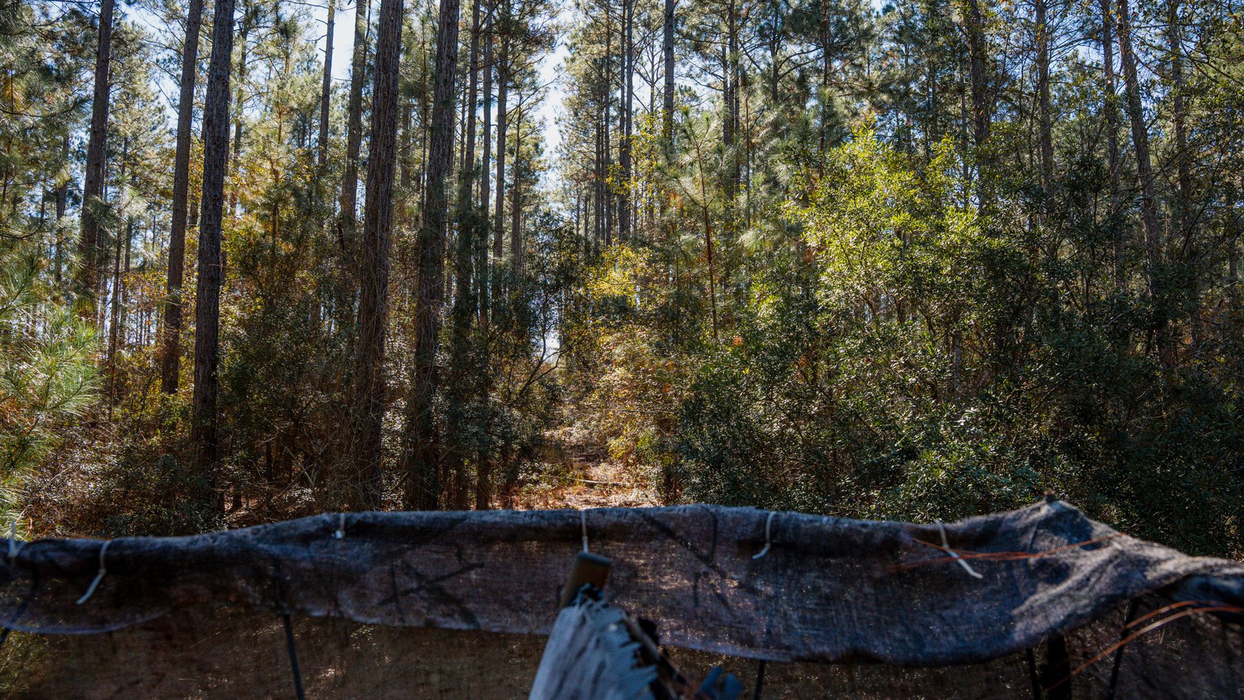 Image for Swallow Lane Farm - 157± Acres - Irwin County, Georgia - Income-Producing Row Crop Farmland & Recreational Retreat