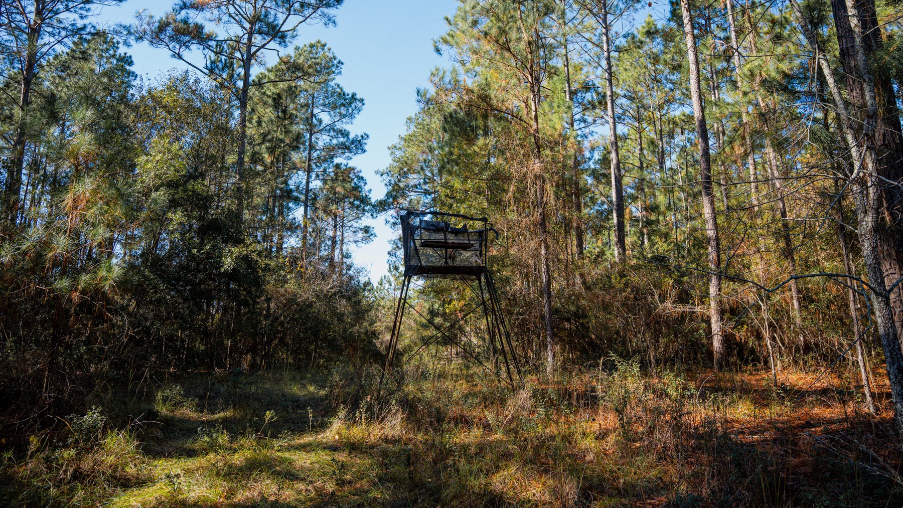 Image for Swallow Lane Farm - 157± Acres - Irwin County, Georgia - Income-Producing Row Crop Farmland & Recreational Retreat
