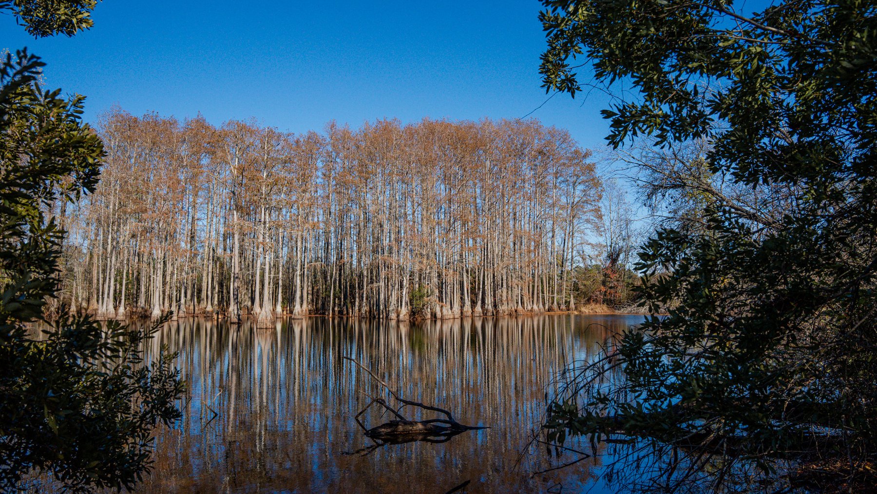 Image for Swallow Lane Farm - 157± Acres - Irwin County, Georgia - Income-Producing Row Crop Farmland & Recreational Retreat