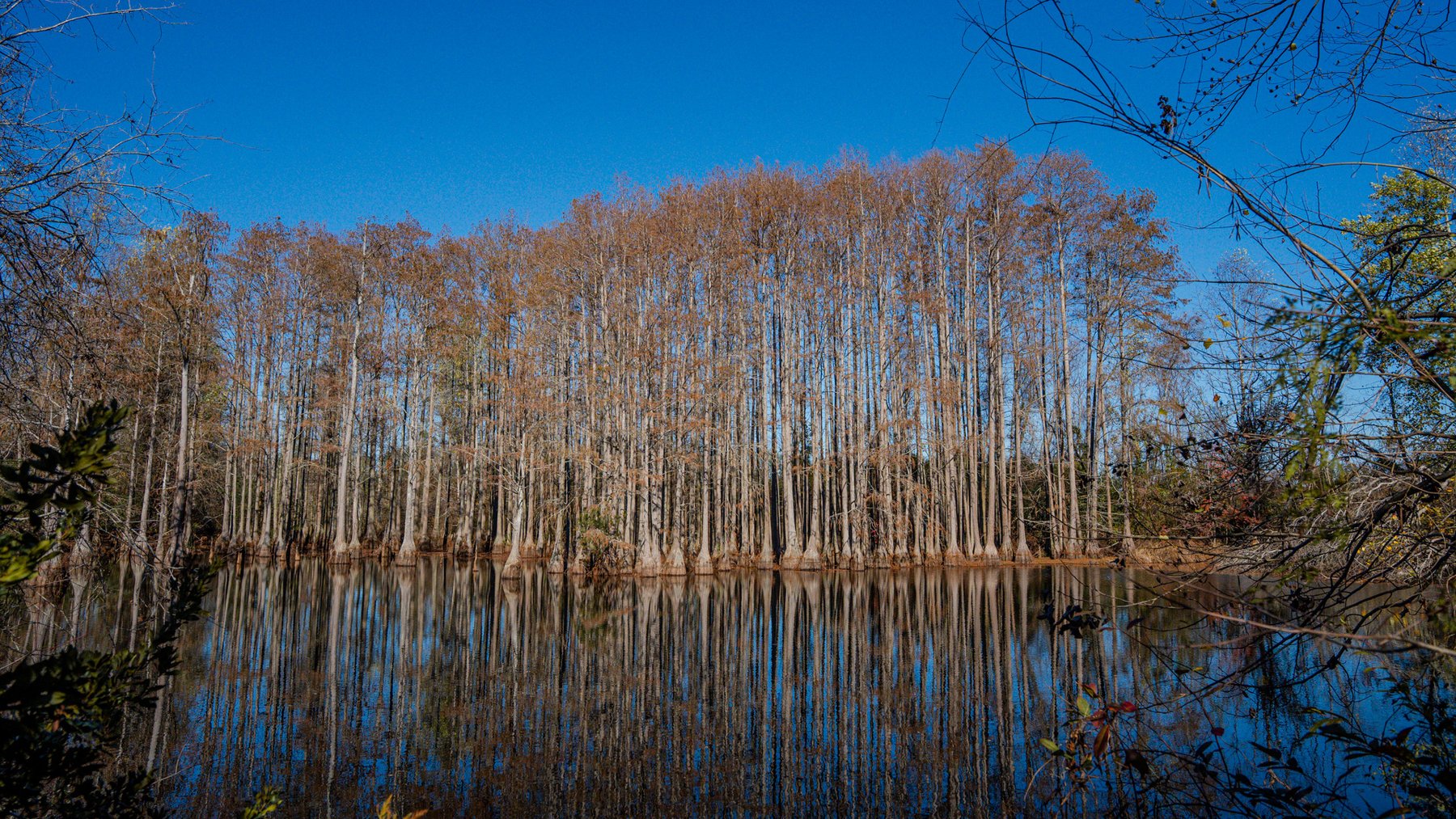 Image for Swallow Lane Farm - 157± Acres - Irwin County, Georgia - Income-Producing Row Crop Farmland & Recreational Retreat