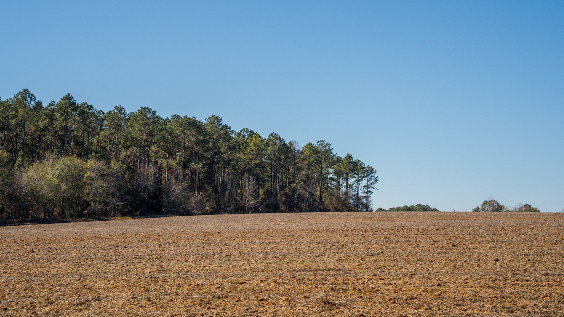 Image for Swallow Lane Farm - 157± Acres - Irwin County, Georgia - Income-Producing Row Crop Farmland & Recreational Retreat