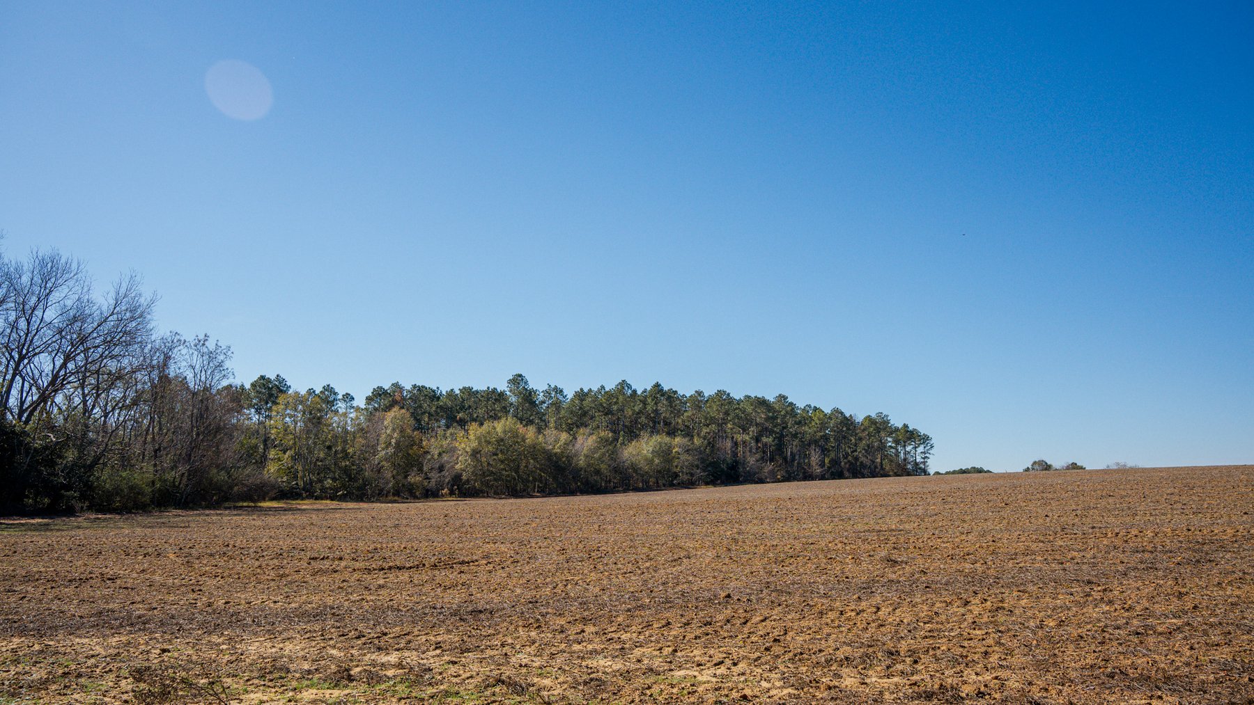 Image for Swallow Lane Farm - 157± Acres - Irwin County, Georgia - Income-Producing Row Crop Farmland & Recreational Retreat