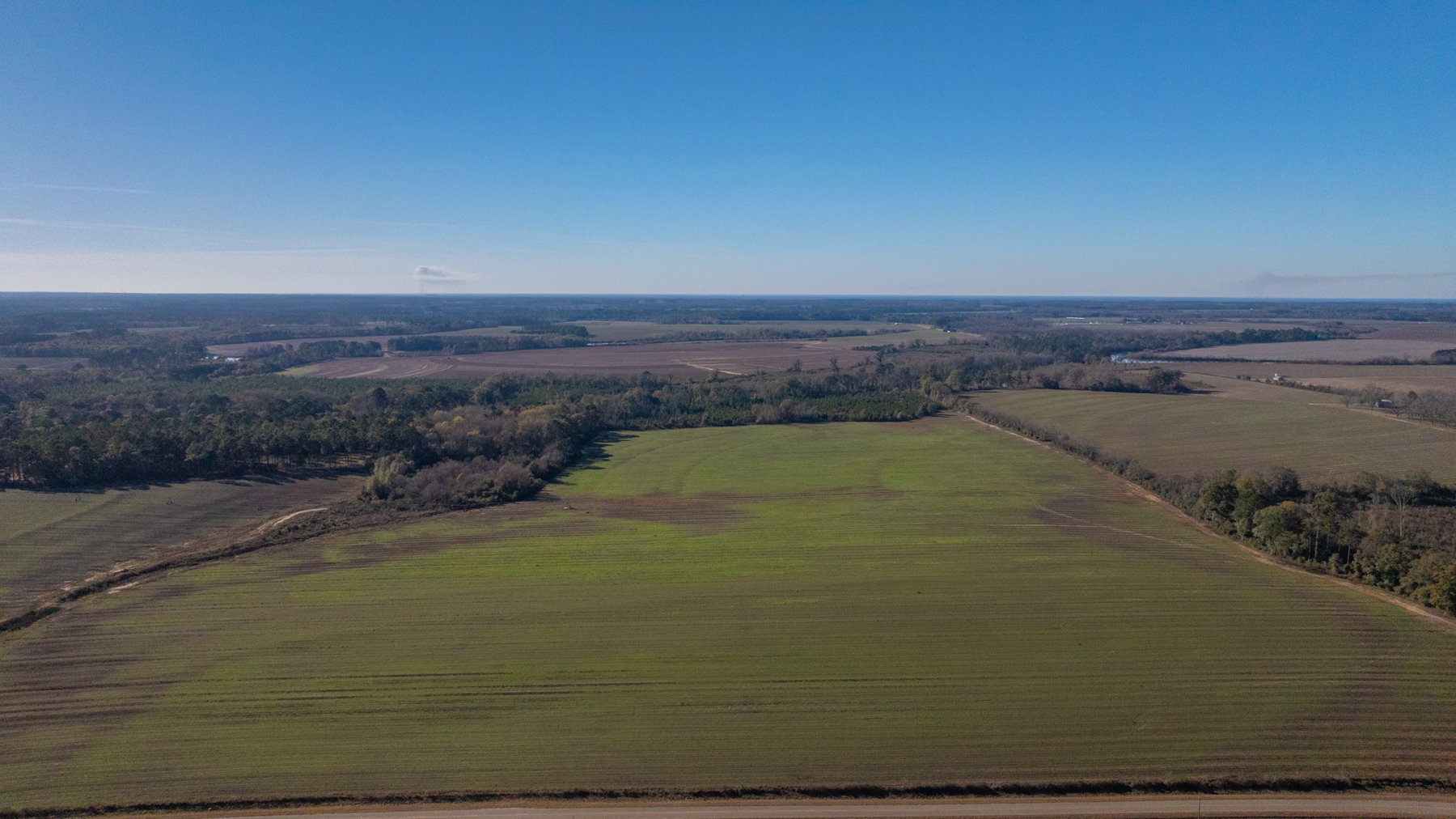 Image for The Autry Farm Property - 160.5+/- Total Acres - Colquitt & Mitchell Counties, Georgia