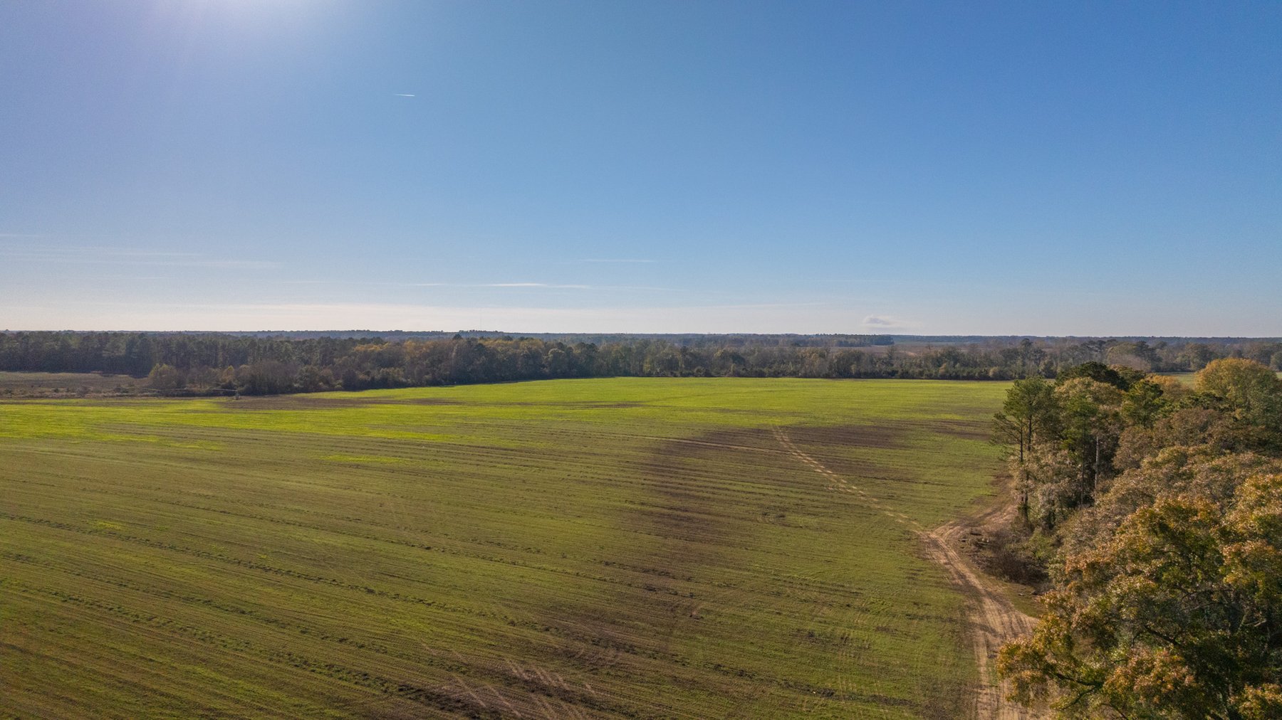 Image for The Autry Farm Property - 160.5+/- Total Acres - Colquitt & Mitchell Counties, Georgia