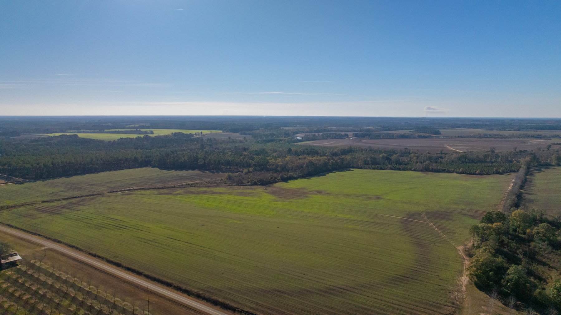 Image for The Autry Farm Property - 160.5+/- Total Acres - Colquitt & Mitchell Counties, Georgia