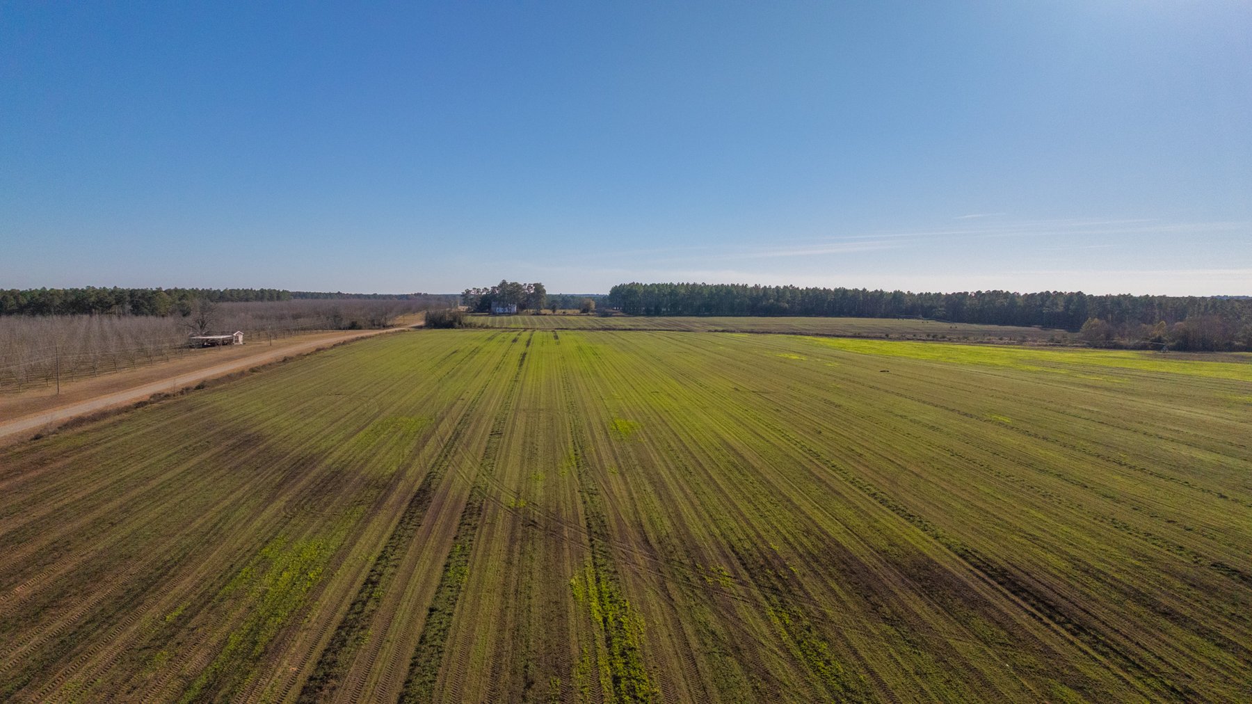 Image for The Autry Farm Property - 160.5+/- Total Acres - Colquitt & Mitchell Counties, Georgia