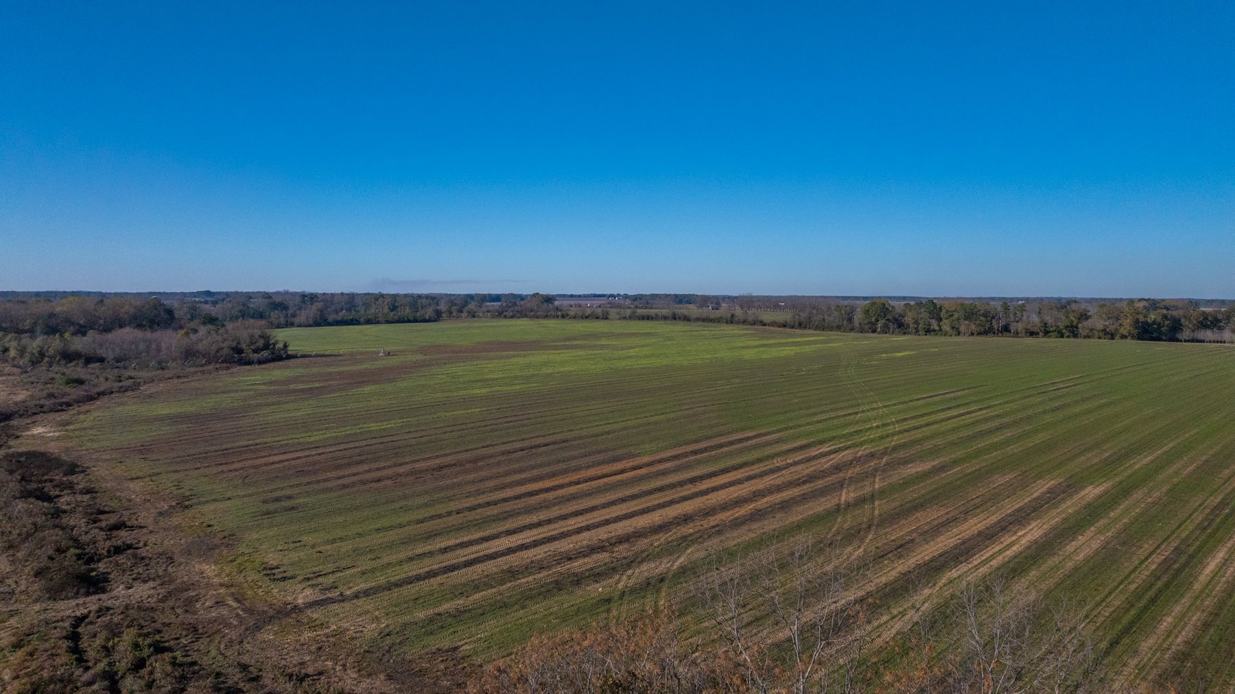Image for The Autry Farm Property - 160.5+/- Total Acres - Colquitt & Mitchell Counties, Georgia