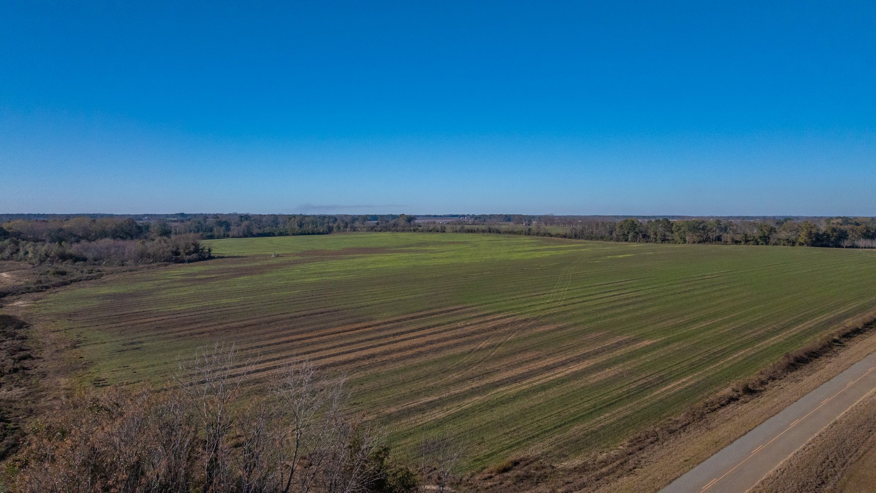 Image for The Autry Farm Property - 160.5+/- Total Acres - Colquitt & Mitchell Counties, Georgia