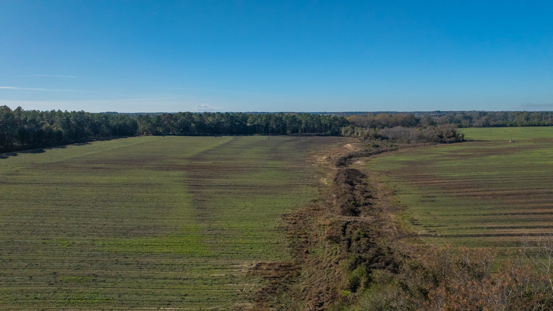 Image for The Autry Farm Property - 160.5+/- Total Acres - Colquitt & Mitchell Counties, Georgia