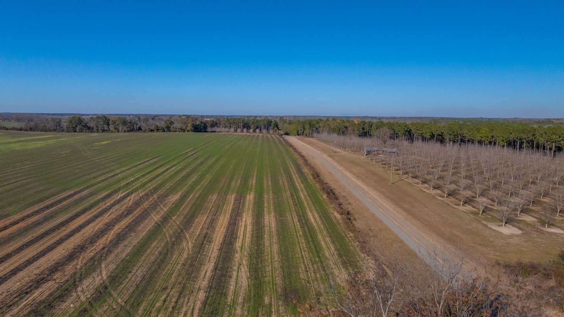 Image for The Autry Farm Property - 160.5+/- Total Acres - Colquitt & Mitchell Counties, Georgia