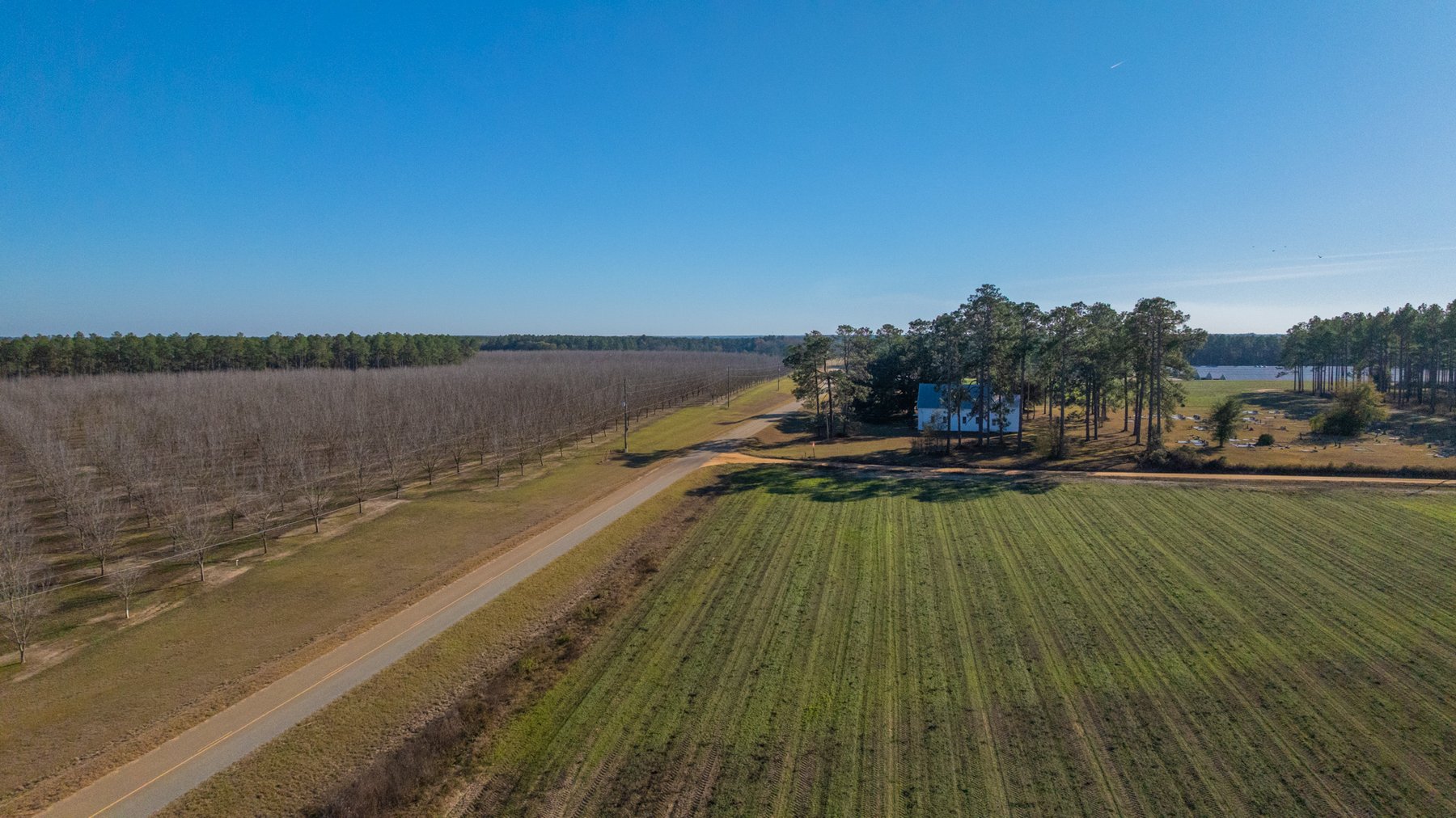 Image for The Autry Farm Property - 160.5+/- Total Acres - Colquitt & Mitchell Counties, Georgia