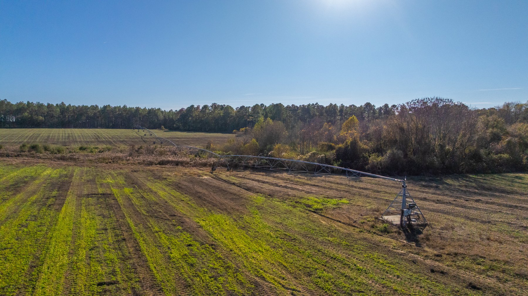 Image for The Autry Farm Property - 160.5+/- Total Acres - Colquitt & Mitchell Counties, Georgia