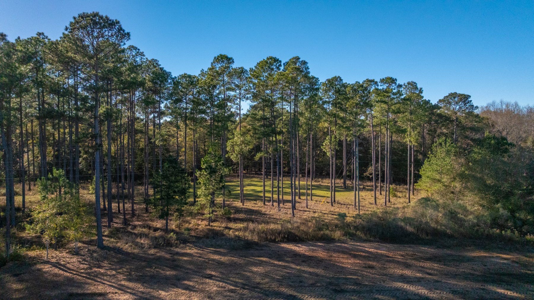 Image for The Autry Farm Property - 160.5+/- Total Acres - Colquitt & Mitchell Counties, Georgia