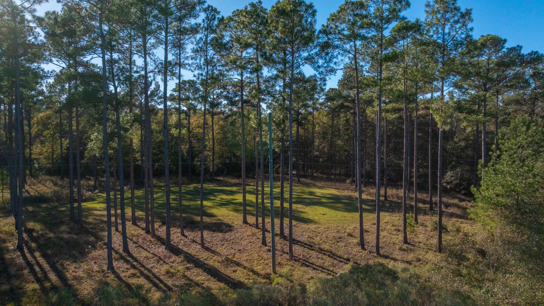 Image for The Autry Farm Property - 160.5+/- Total Acres - Colquitt & Mitchell Counties, Georgia
