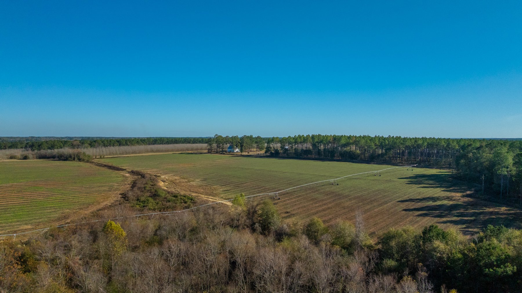 Image for The Autry Farm Property - 160.5+/- Total Acres - Colquitt & Mitchell Counties, Georgia