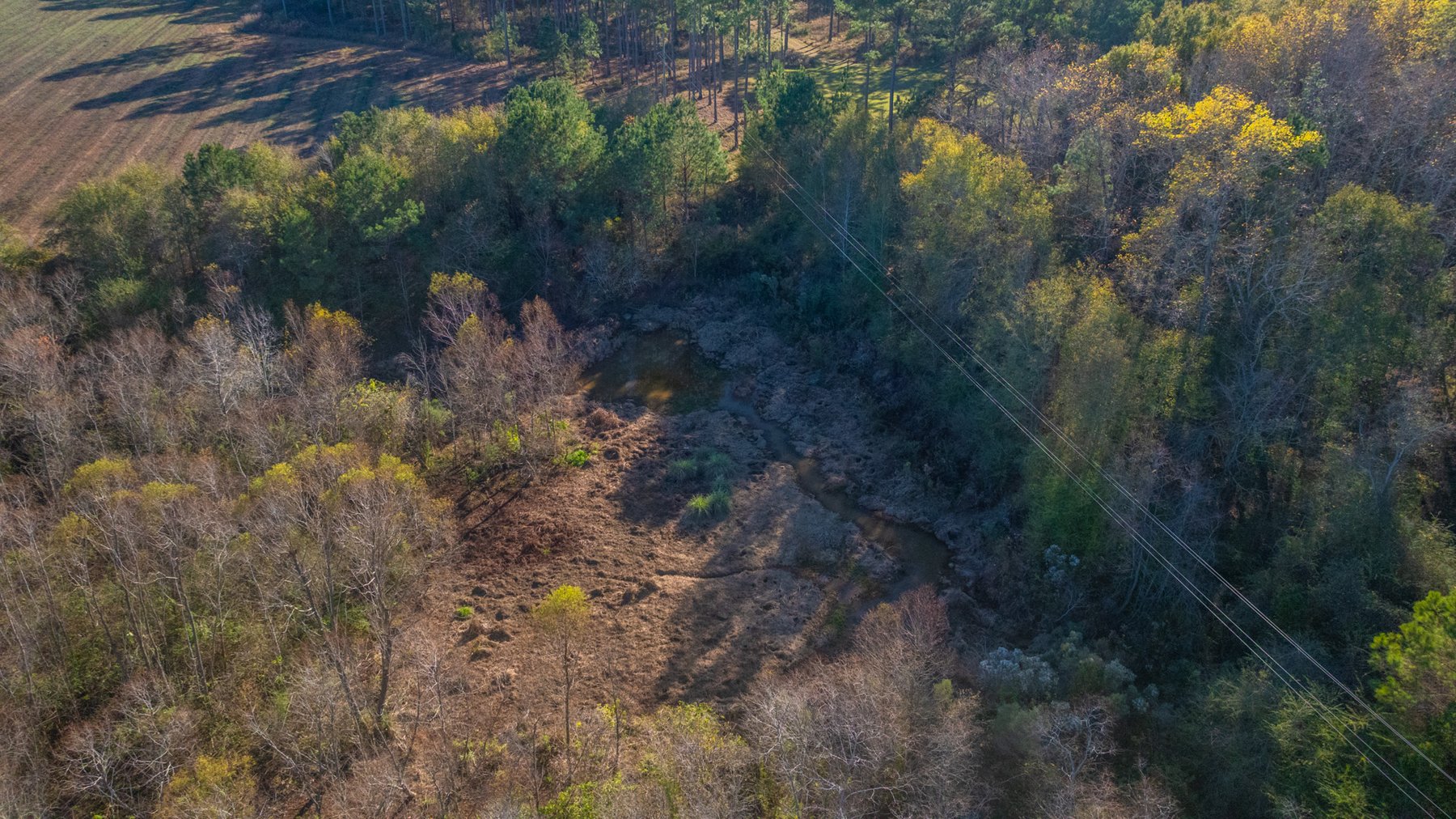 Image for The Autry Farm Property - 160.5+/- Total Acres - Colquitt & Mitchell Counties, Georgia