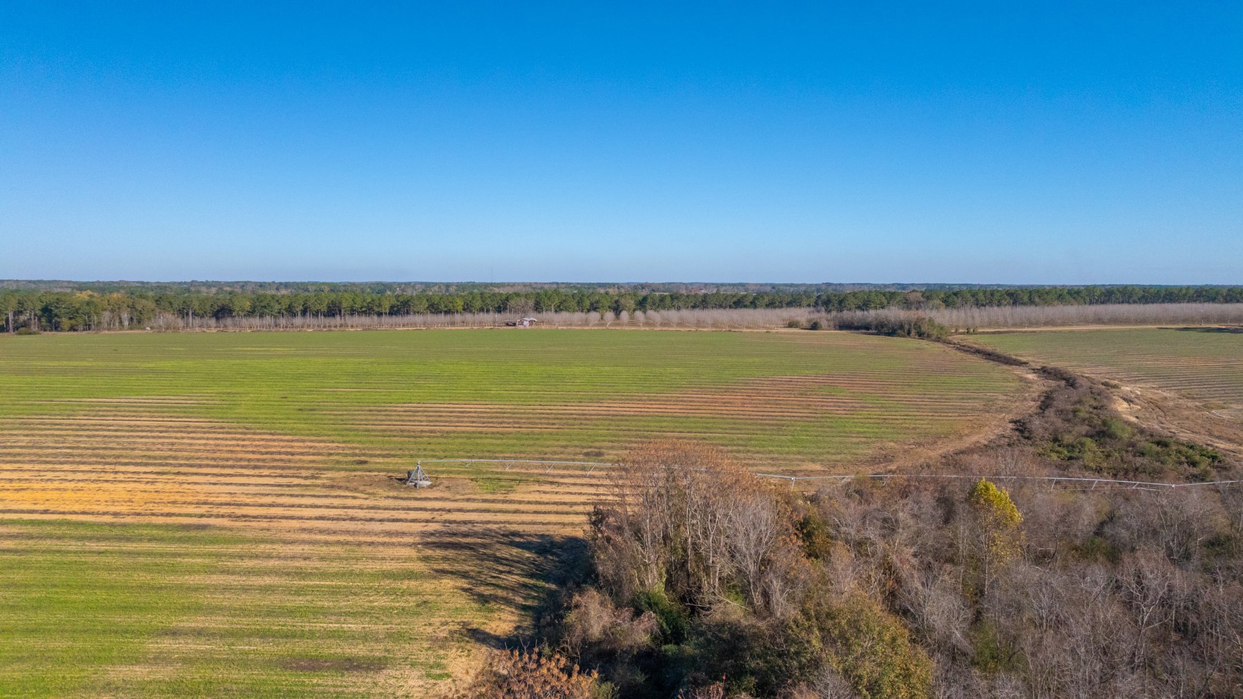 Image for The Autry Farm Property - 160.5+/- Total Acres - Colquitt & Mitchell Counties, Georgia